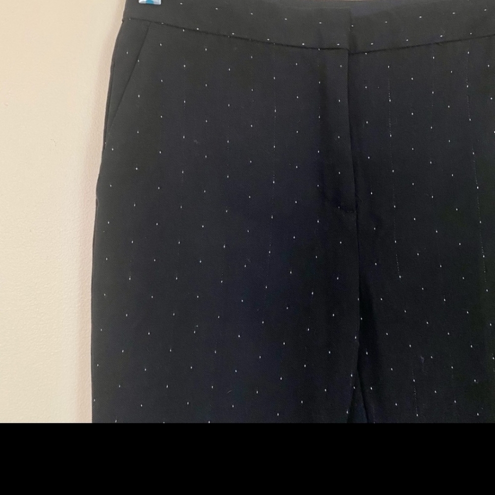 Zara basic pants
